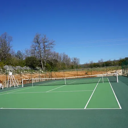 Holiday home La Buisse - Petit *