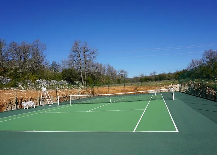 Holiday home La Buisse - Petit *