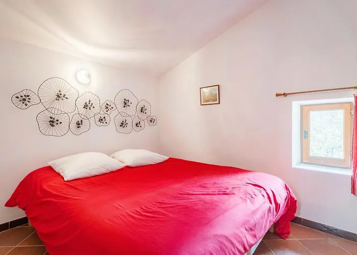 Holiday home La Buisse - Petit *